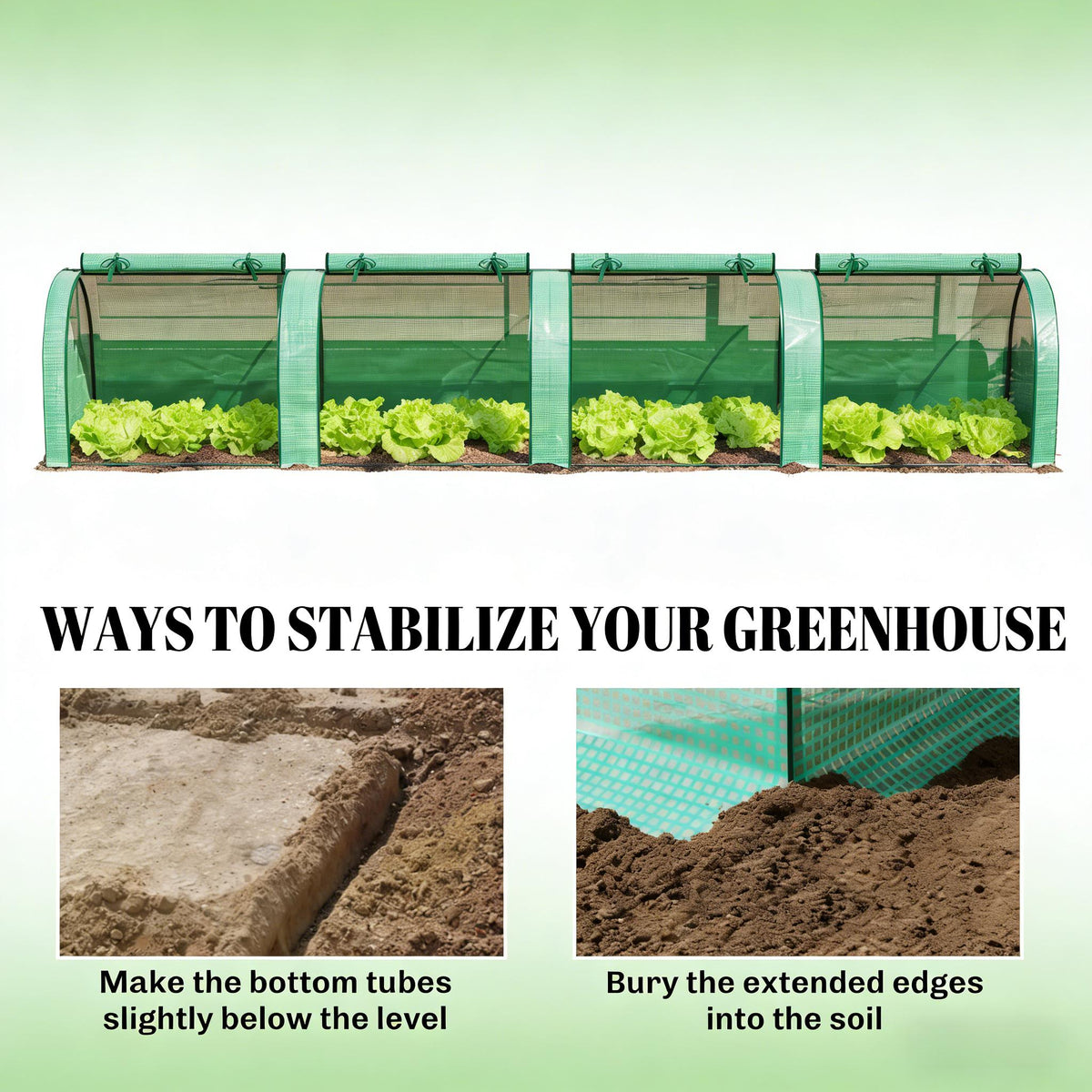 Low Design Mini Greenhouse