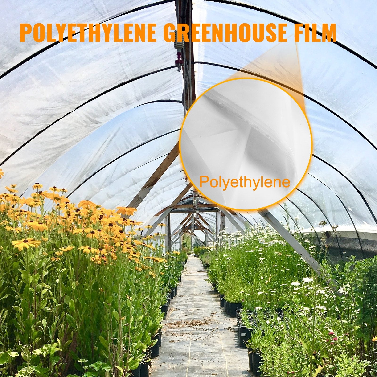 Greenhouse Film 15 x 40 Ft, 6 Mil Polyethylene
