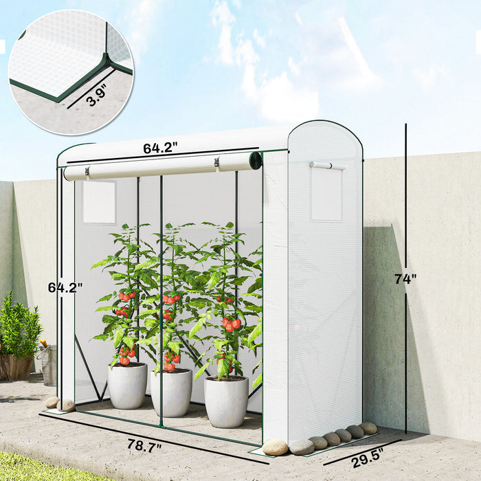 Portable Greenhouse Roll-Up Door 78.7x29.5x74 White