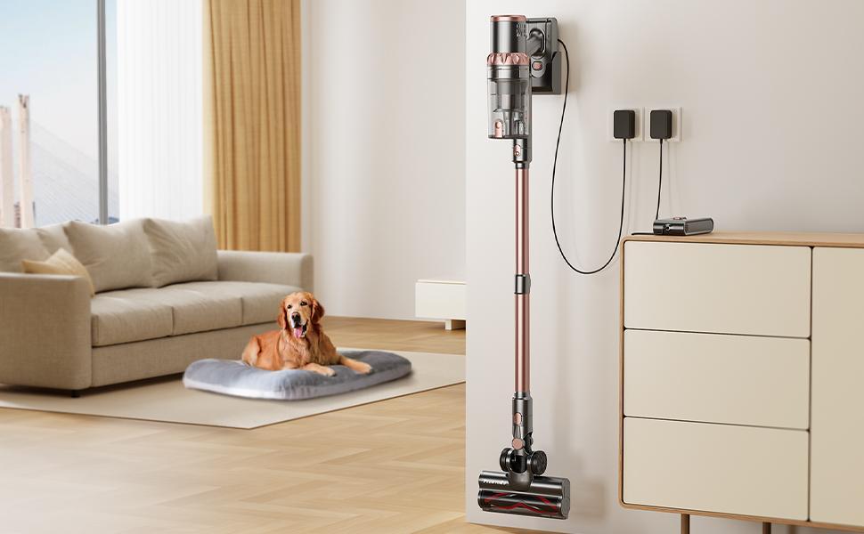 45KPa Wireless Handheld Pet Hair Vacuum With LED Display