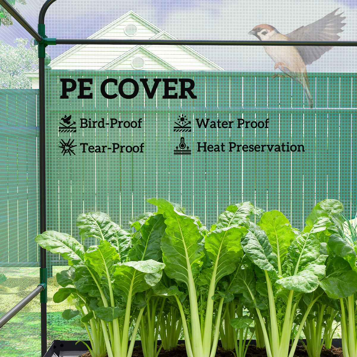 Galvanized Steel Greenhouse with Roll Up Door 56x56x75