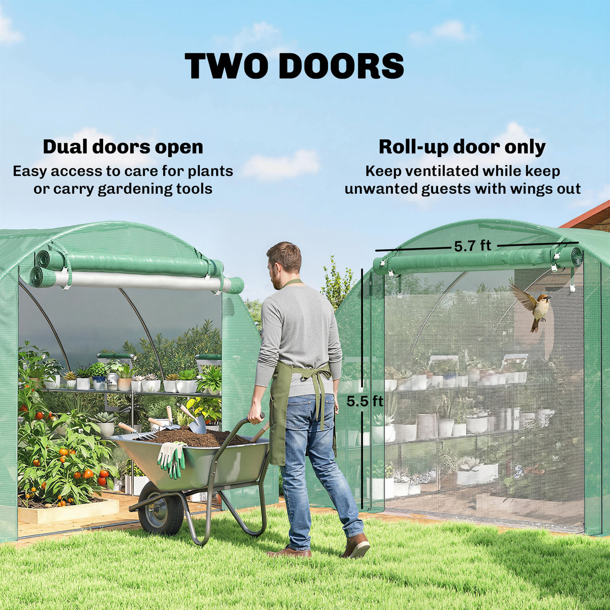 10x11x6 Walk-in Tunnel Greenhouse with Shelves and Mesh Door