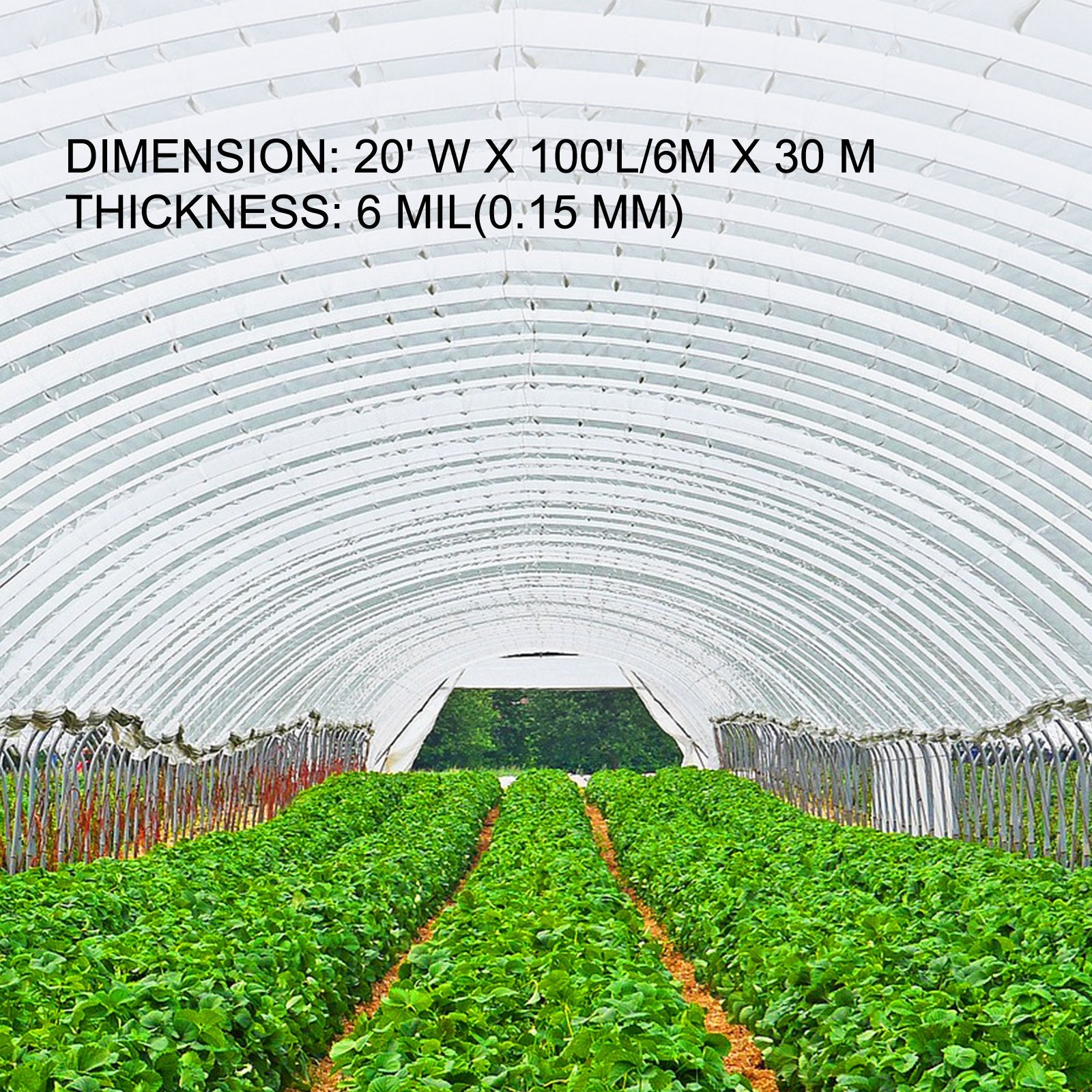 Greenhouse Polyethylene Film 20 X 100 Ft, 6 Mil UV Resistant