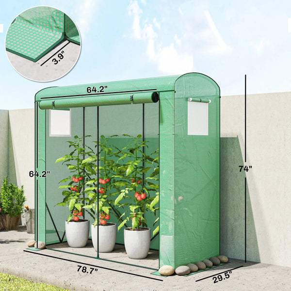 Raised Garden Bed with Attached Mini Greenhouse Cover