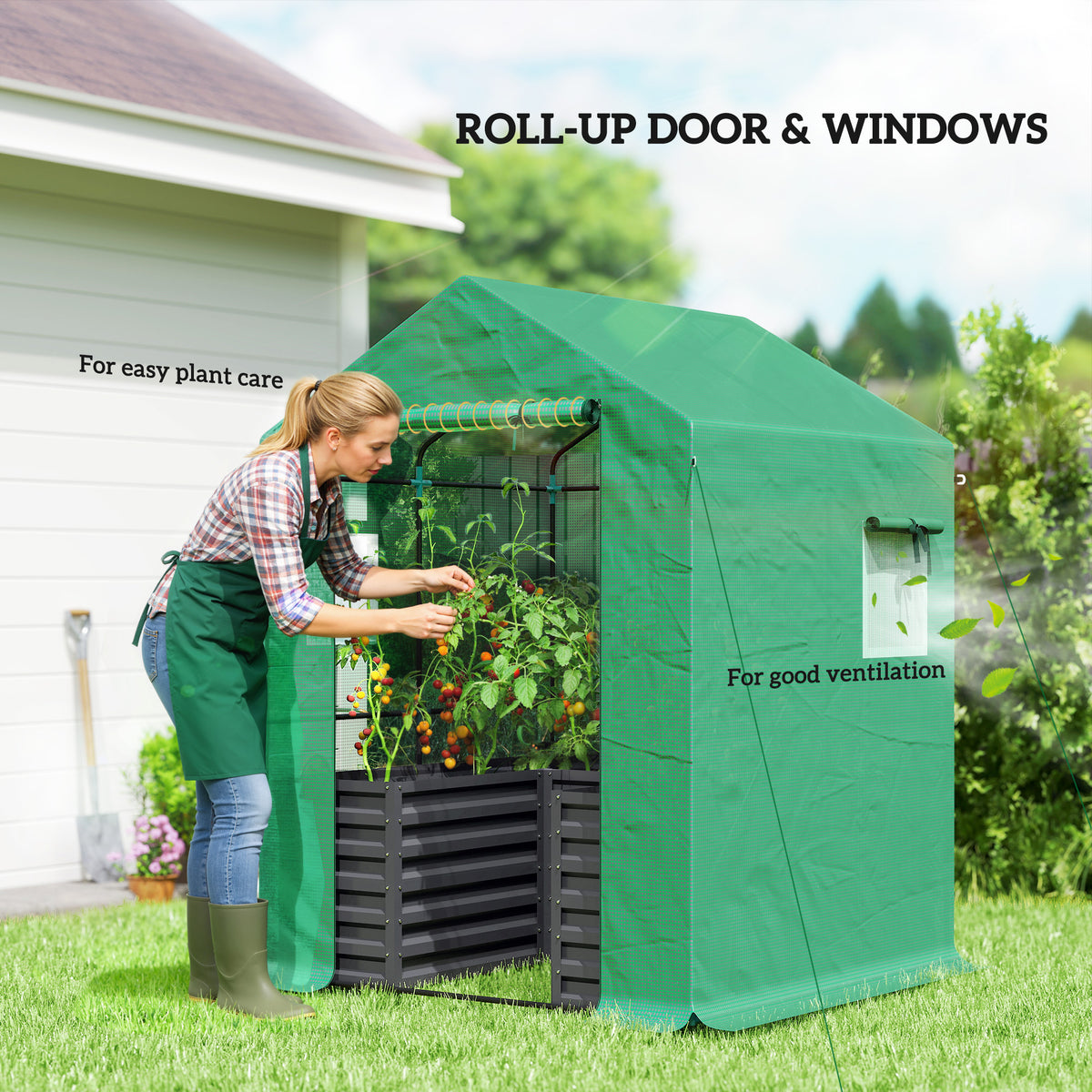 Galvanized Steel Greenhouse with Roll Up Door 56x56x75