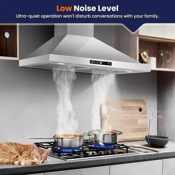 30 Inch Wall Mount Range Hood, 700 CFM Stainless Steel