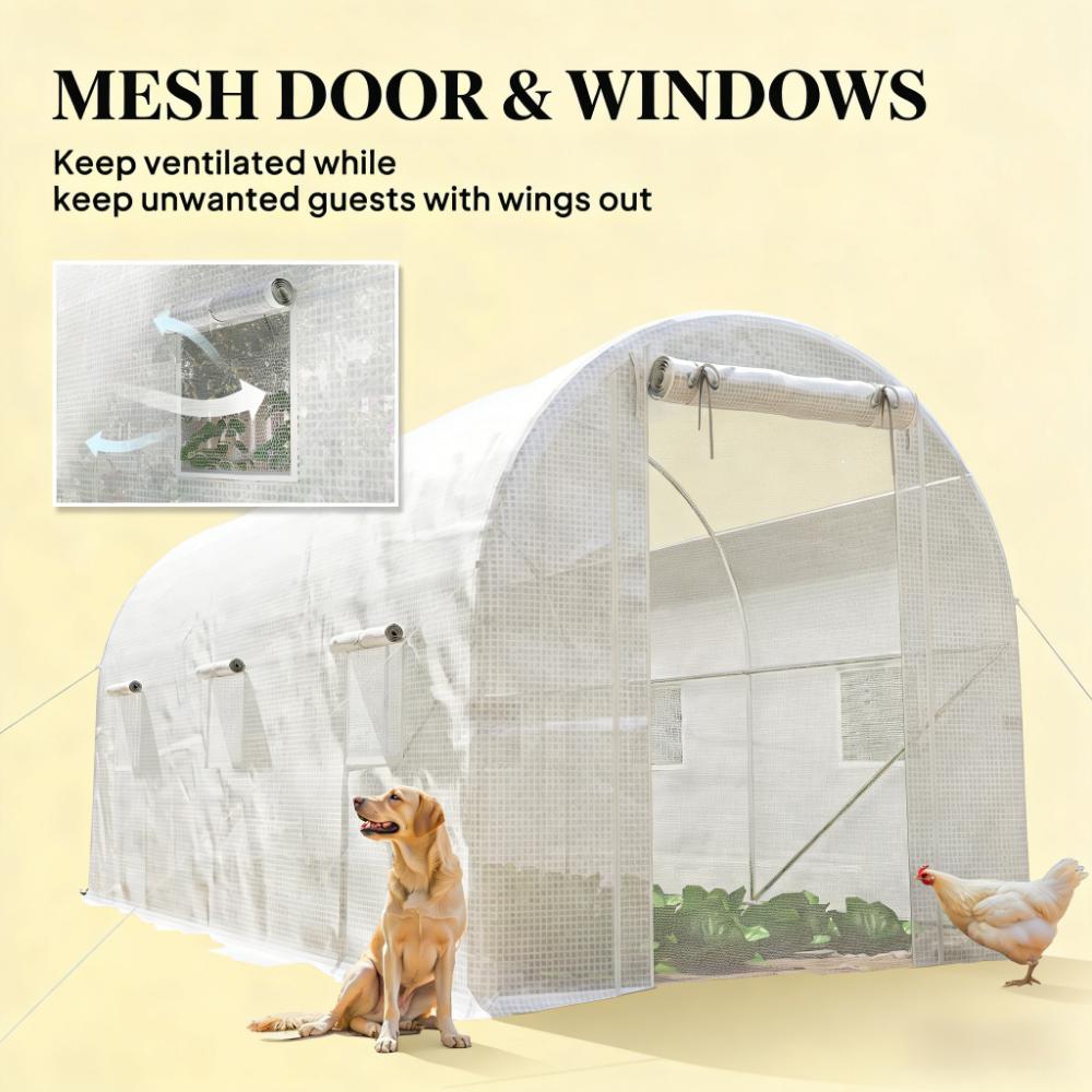 Walk-In Tunnel Greenhouse
