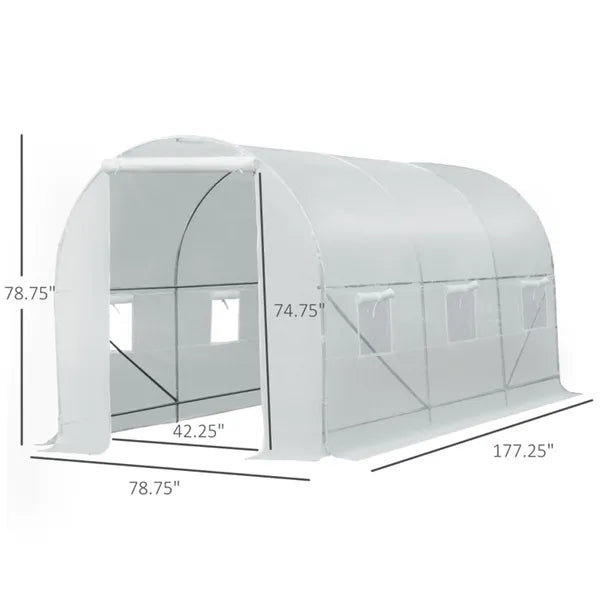 Walk-In Tunnel Greenhouse with Steel Frame