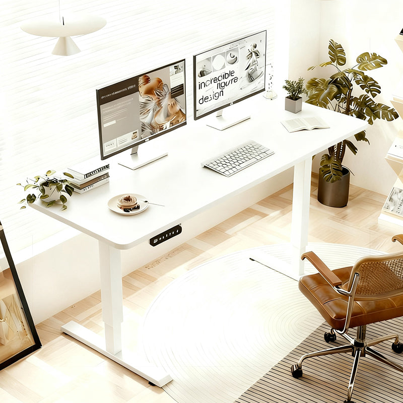 Double Beam Single Motor 55" Electric Standing Desk