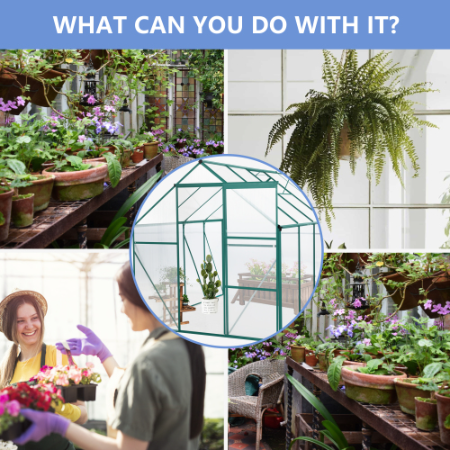6 x 8 FT Green Outdoor Patio Greenhouse