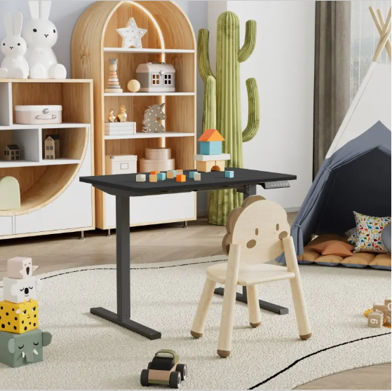 Electric Standing Desk Adjustable Height Single Piece