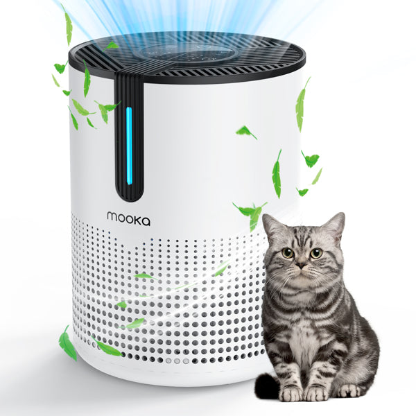 475 Sq.ft Air Purifier with HEPA Filter