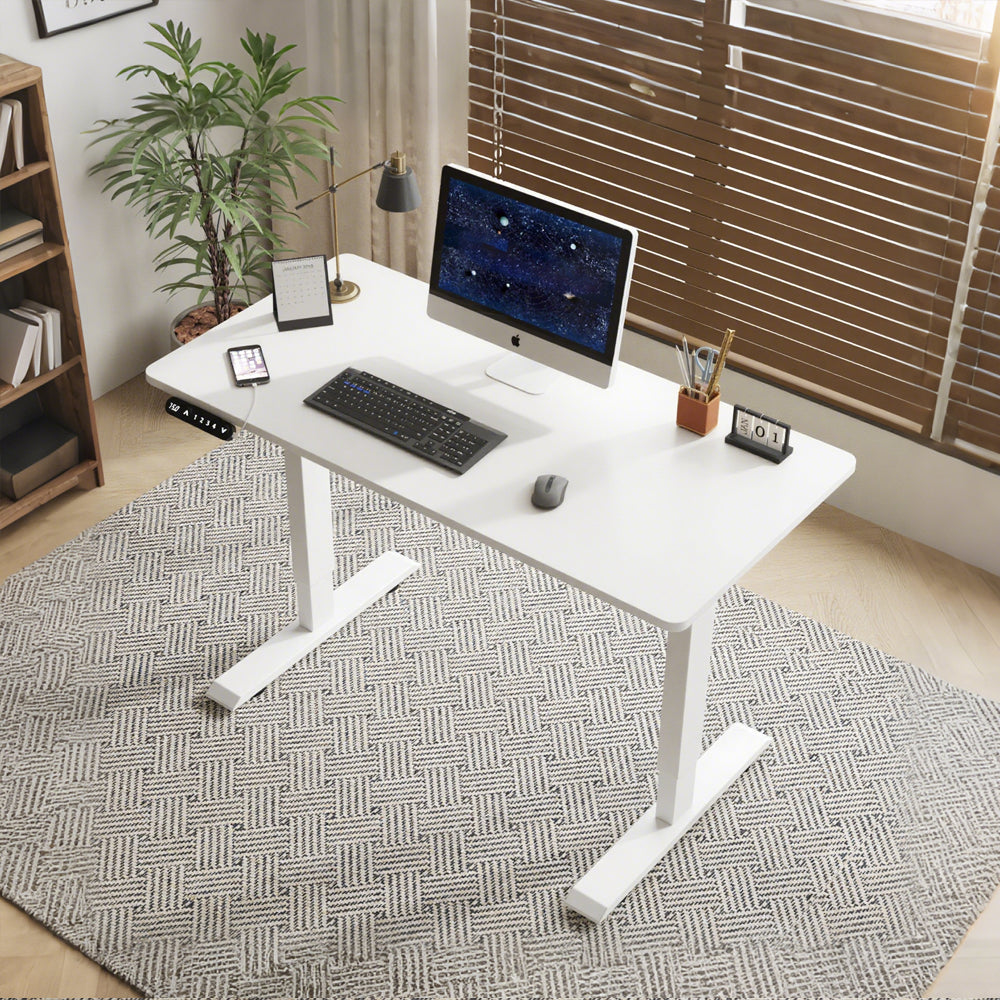 Double Beam Single Motor 55" Electric Standing Desk