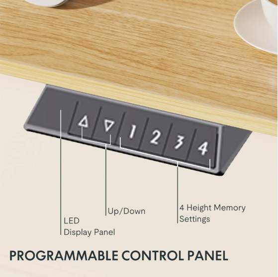 Electric Standing Desk Adjustable Height Single Piece