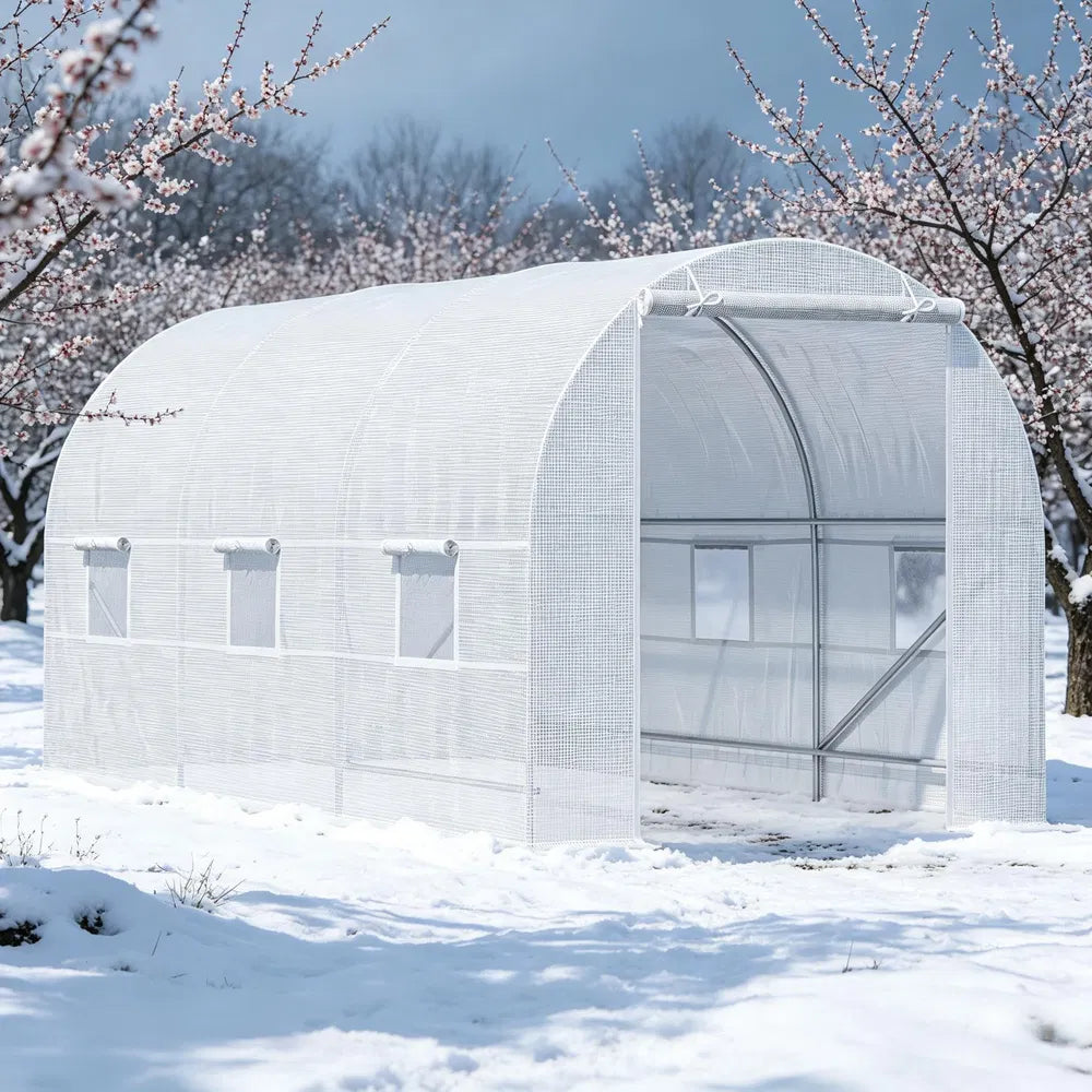 Walk-In Tunnel Greenhouse with Steel Frame