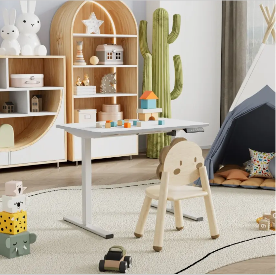 Electric Standing Desk Adjustable Height Single Piece