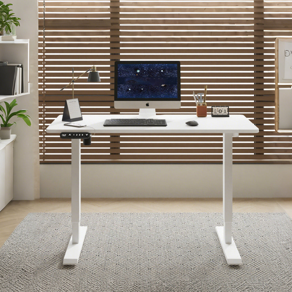 Double Beam Single Motor 55" Electric Standing Desk