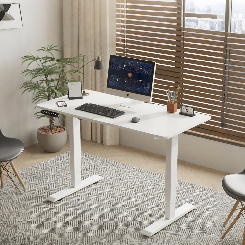 Double Beam Single Motor 55" Electric Standing Desk