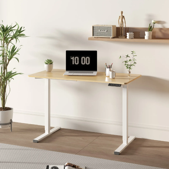 Electric Standing Desk Adjustable Height Maple Top White Frame