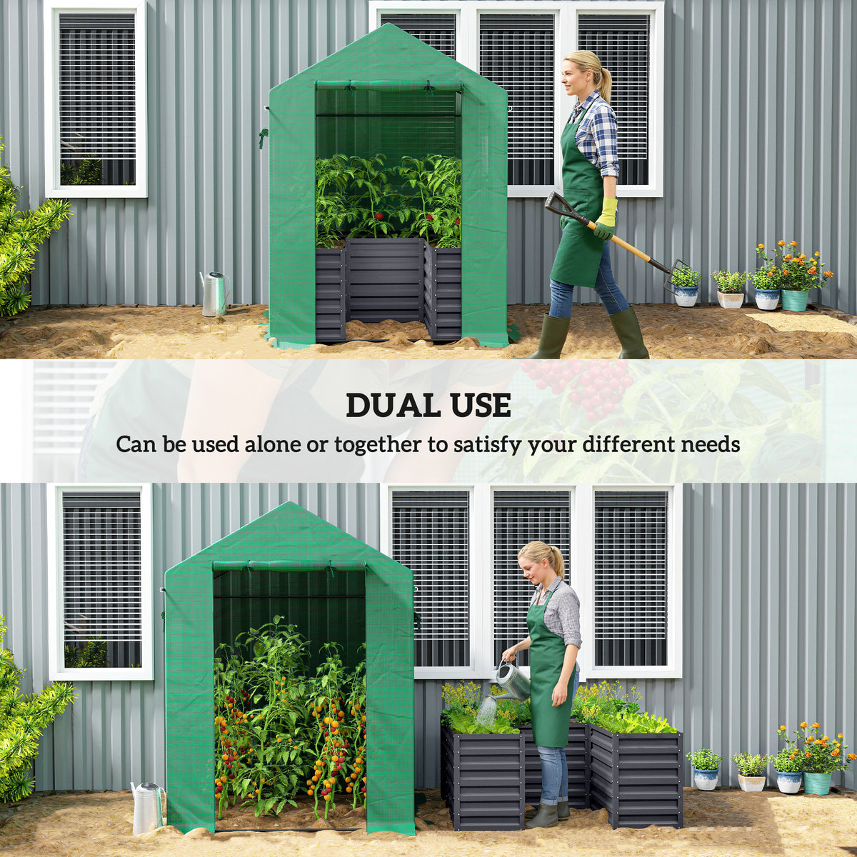Galvanized Steel Greenhouse with Roll Up Door 56x56x75