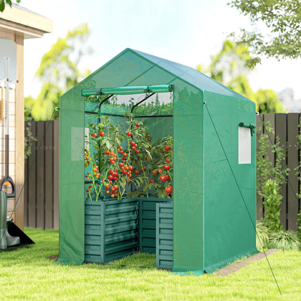 Walk-In Greenhouse Grow House with Shelving