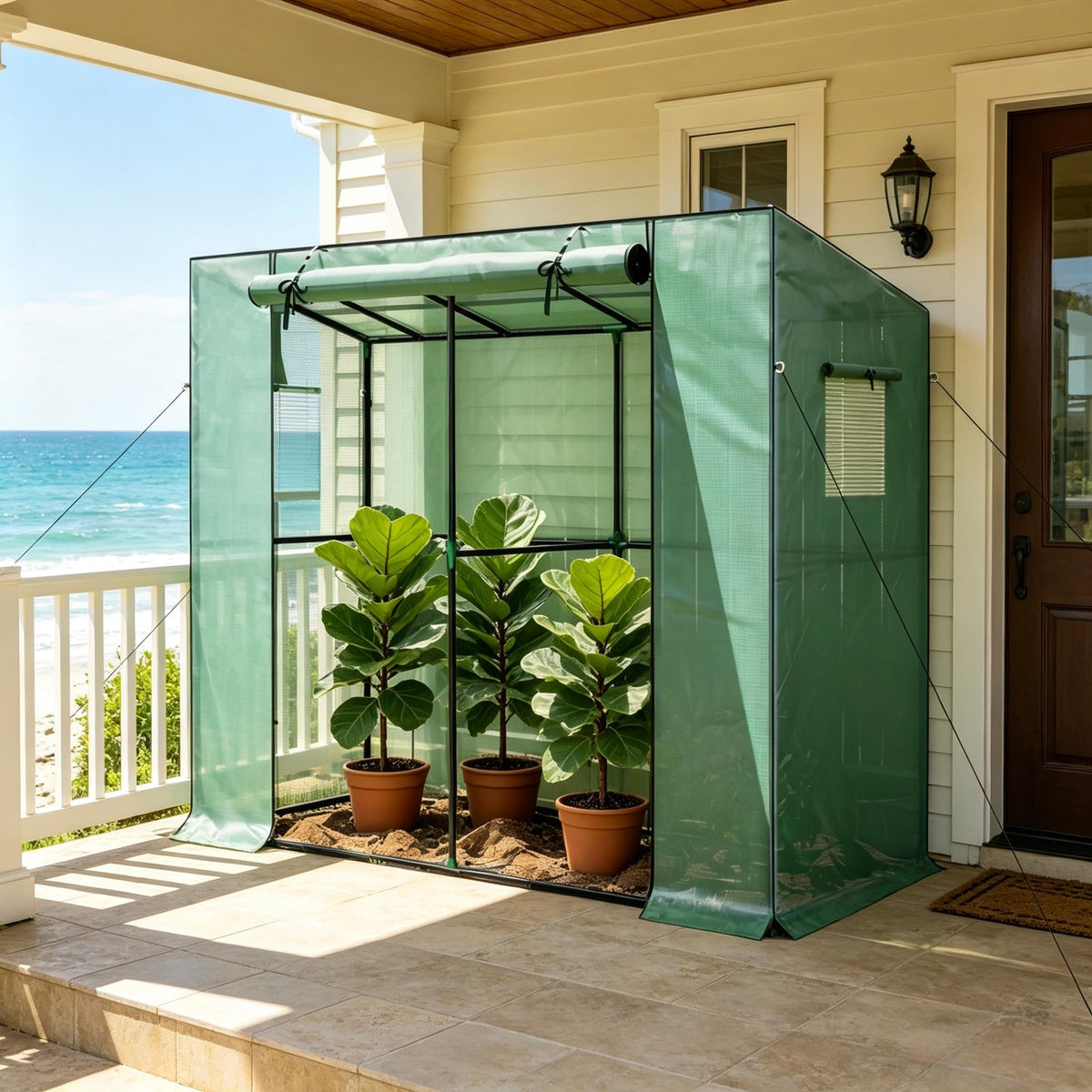 Small Greenhouse