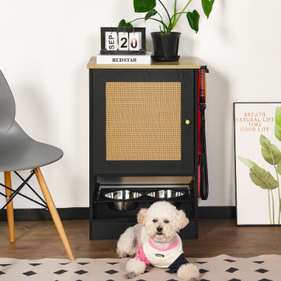 Elevated Dog Feeding Station with Storage Cabinet