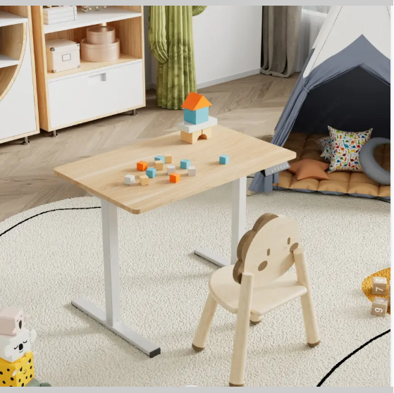 Electric Standing Desk Adjustable Height Single Piece