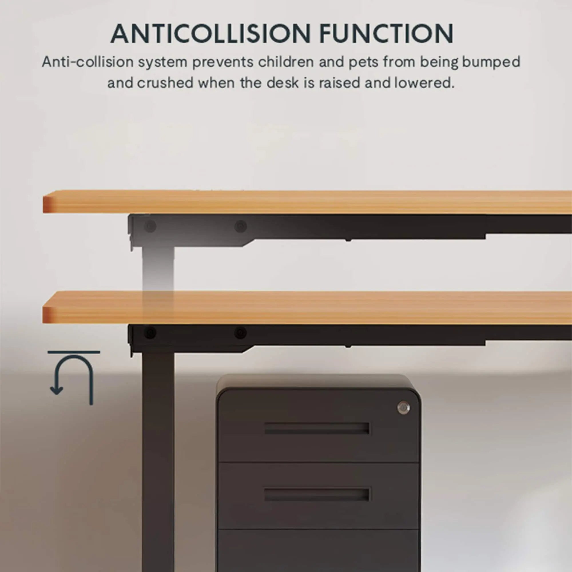 48x24 Electric Standing Desk Adjustable Height Maple Top