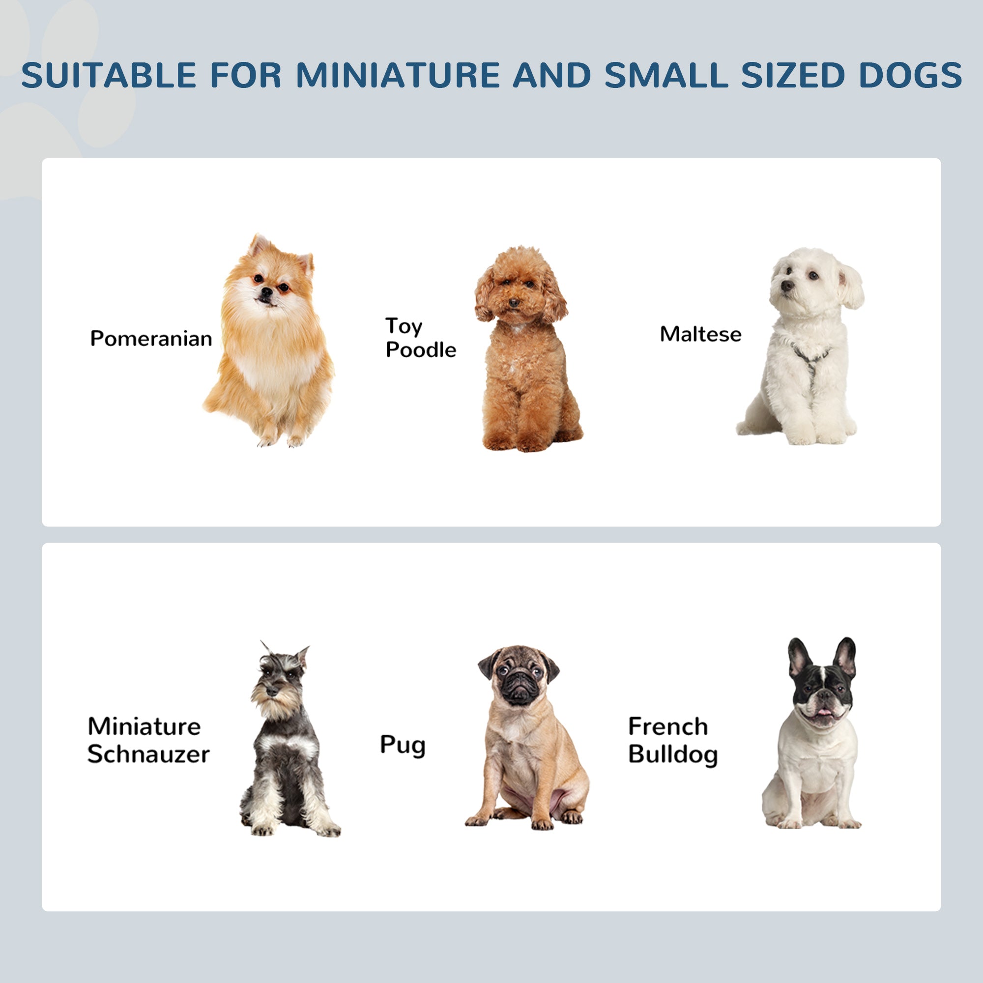 6" Elevated Dog Feeding Station with Wooden Frame