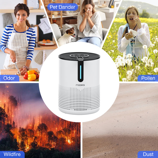 475 Sq.ft Air Purifier with HEPA Filter