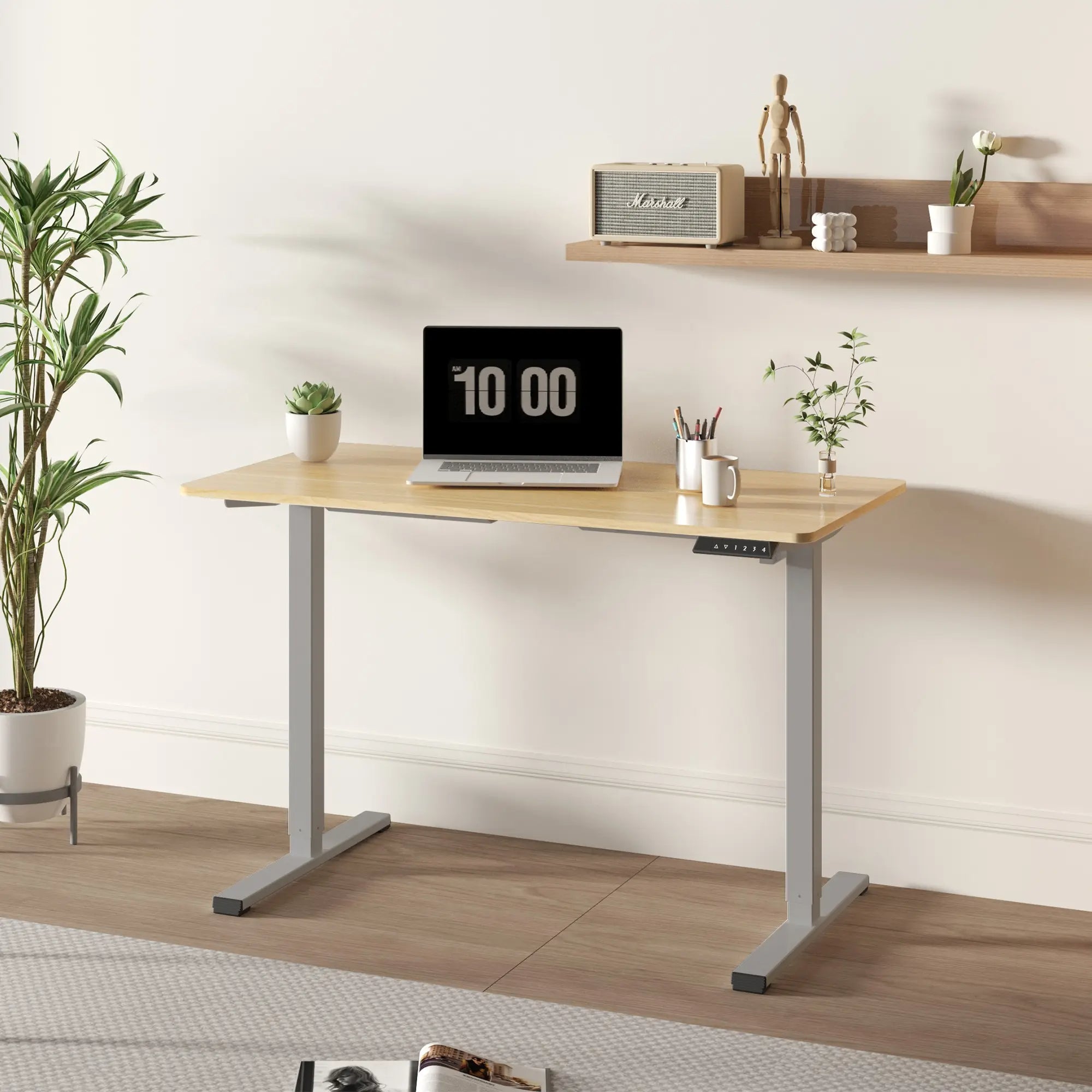 48x24 Electric Standing Desk Adjustable Height Maple Top