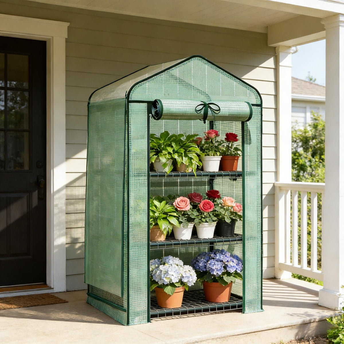 Small Greenhouse