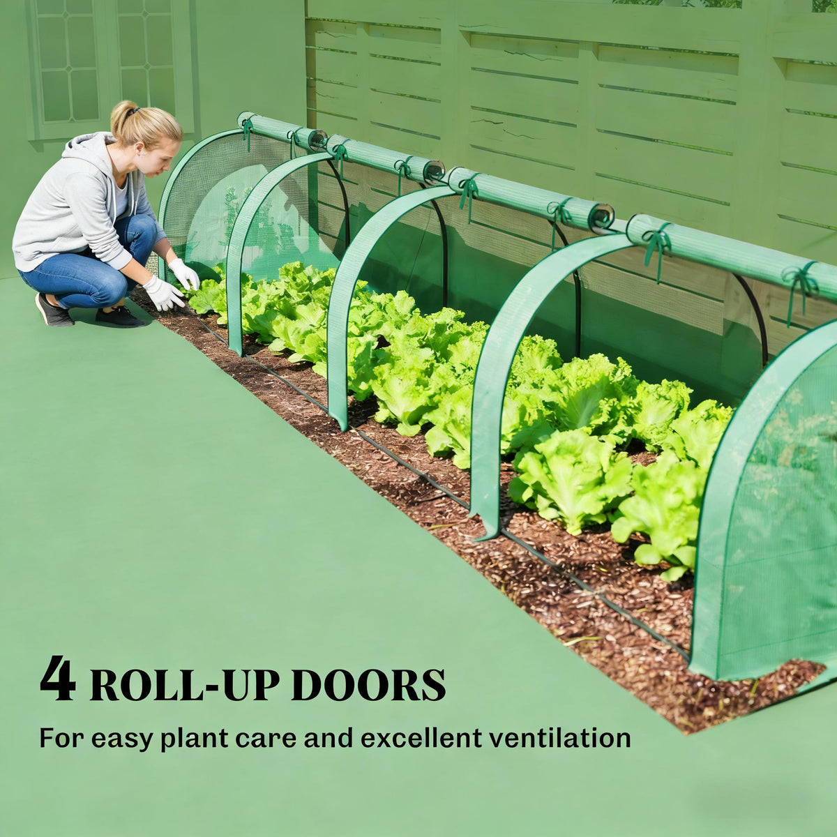 Low Design Mini Greenhouse