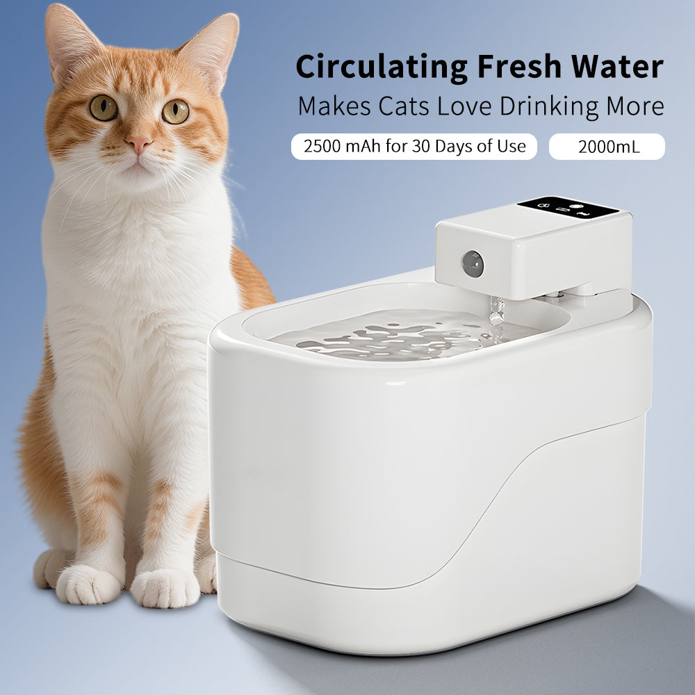 Intelligent Sensor Pet Water Fountain 2000ml USB