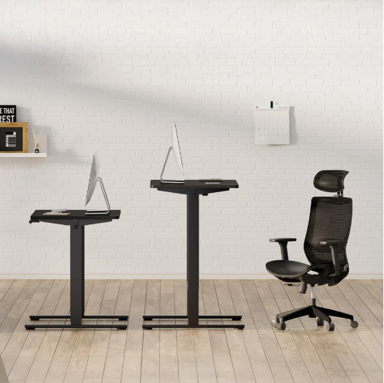 Electric Standing Desk Adjustable Height Single Piece