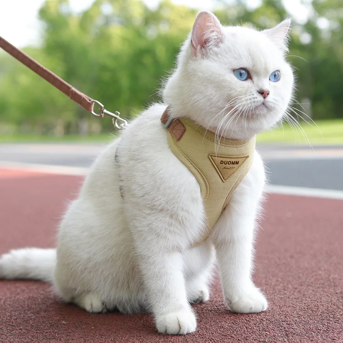 Breathable Cat and Puppy Harness Set