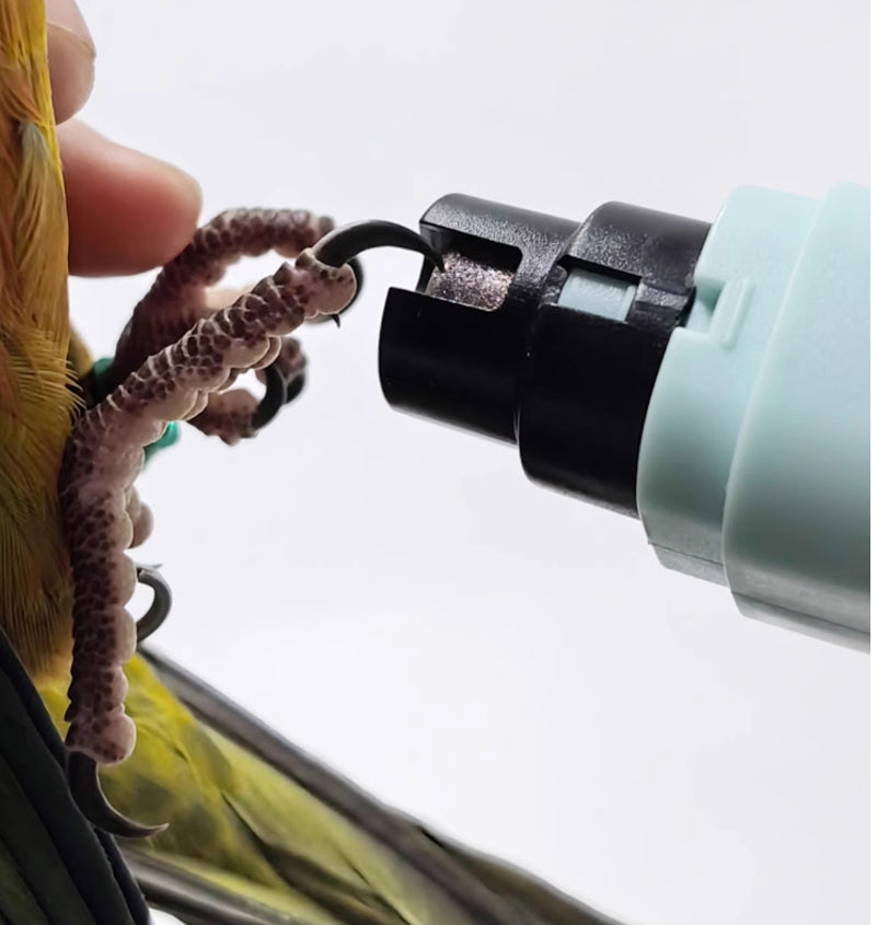 USB Rechargeable Electric Dog Nail Grinder